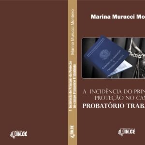 A  Incidência do Princípio da Proteção no campo Probatório Trabalhista